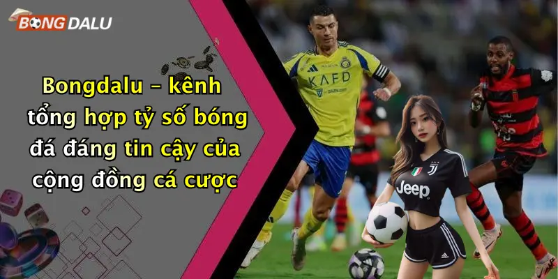 Bongdalu – kênh tổng hợp tỷ số bóng đá đáng tin cậy của cộng đồng cá cược