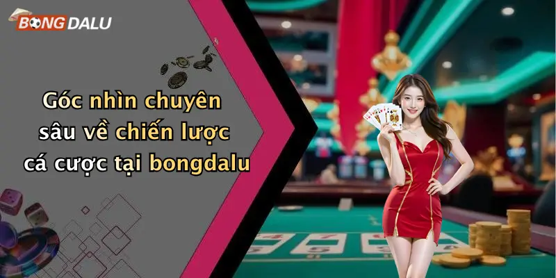 Góc nhìn chuyên sâu về chiến lược cá cược tại bongdalu