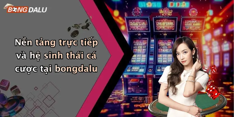 Nền tảng trực tiếp và hệ sinh thái cá cược tại bongdalu