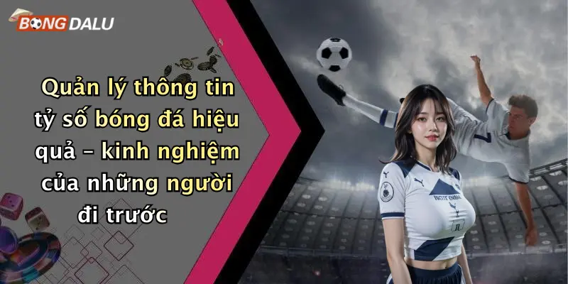 Quản lý thông tin tỷ số bóng đá hiệu quả – kinh nghiệm của những người đi trước