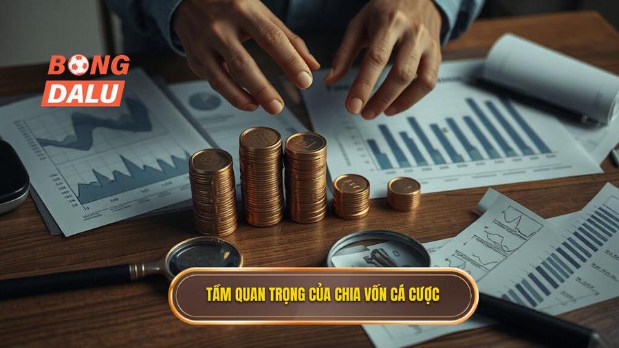 1. Tầm quan trọng của chia vốn cá cược