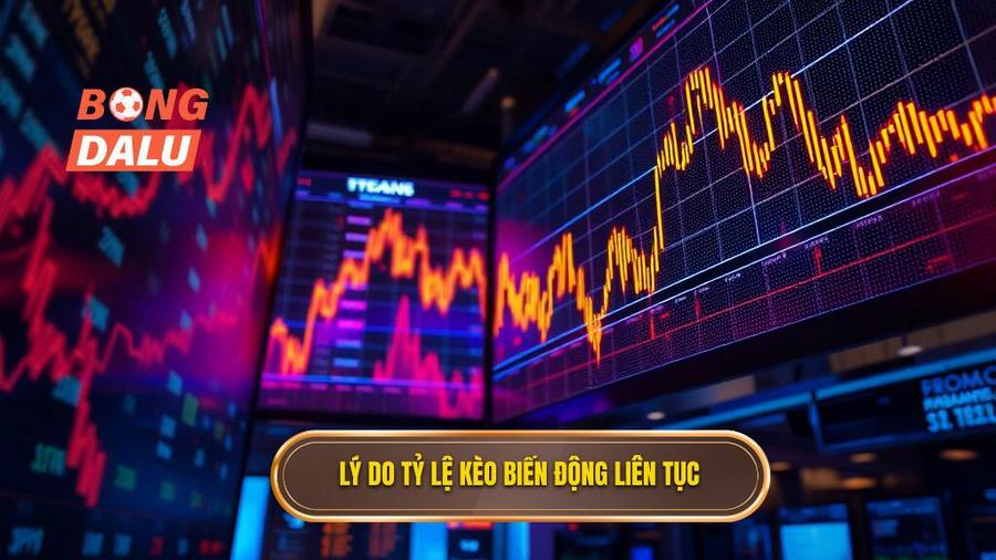 Tại sao tỷ lệ kèo lại biến động liên tục?