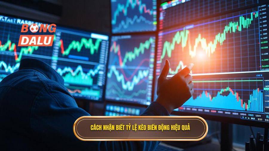 Cách nhận biết và theo dõi tỷ lệ kèo biến động hiệu quả