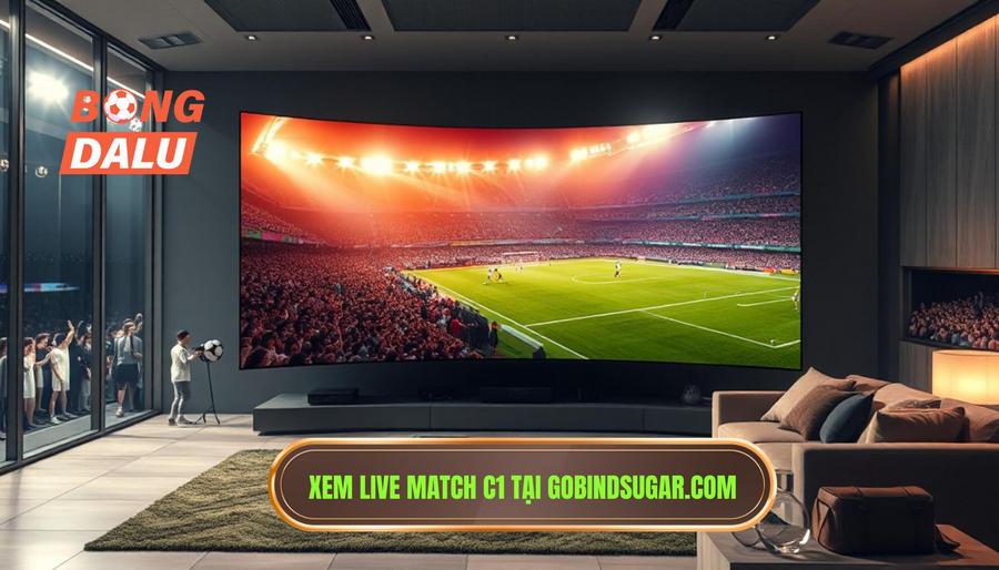 Lợi ích khi xem live match C1 hôm nay tại gobindsugar.com