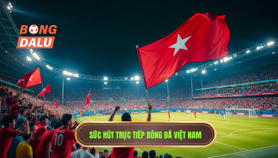 Sức hút trực tiếp bóng đá Việt Nam