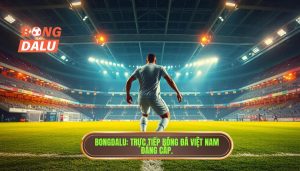 BONGDALU_ Trực tiếp bóng đá Việt Nam đẳng cấp.