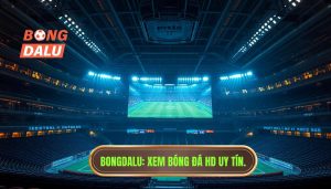 BONGDALU_ Xem bóng đá HD uy tín